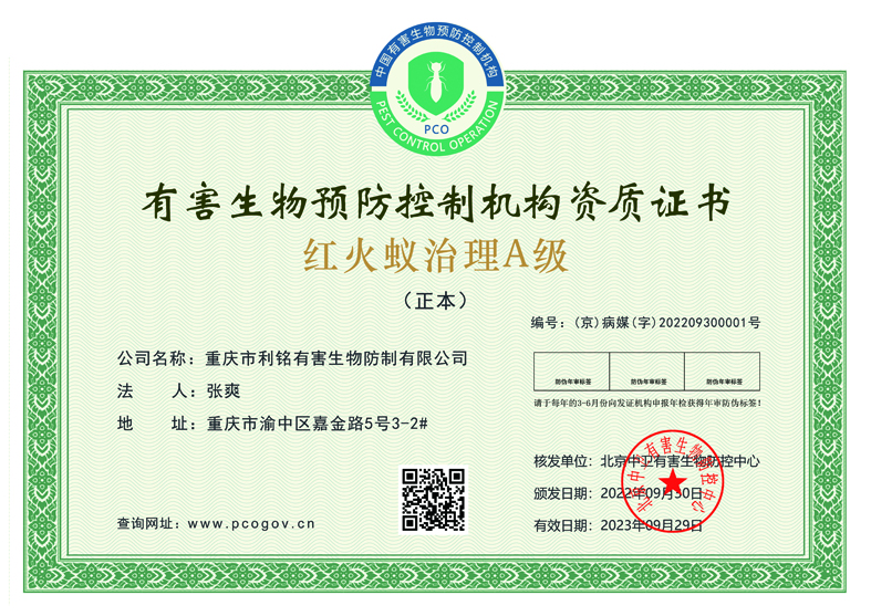 红火蚁治理A级